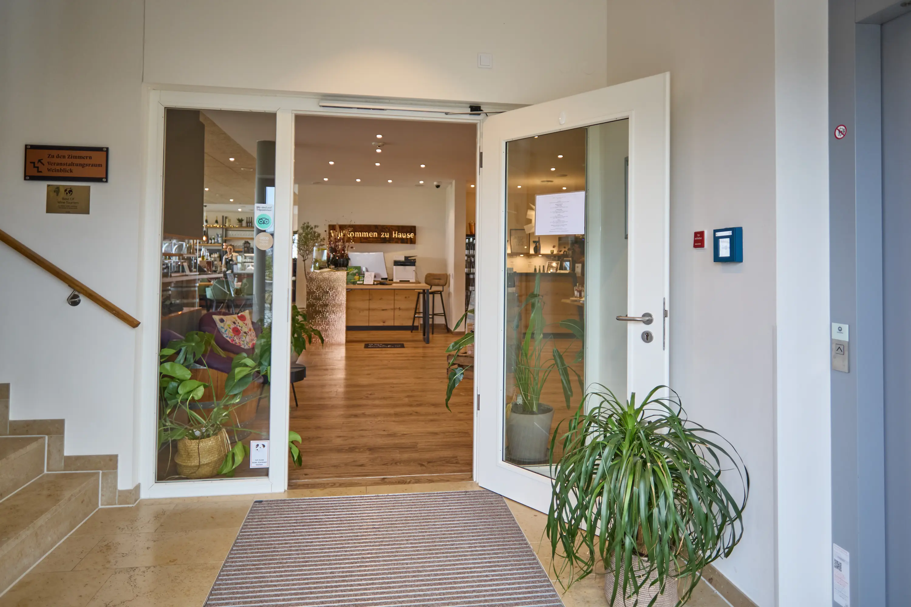 A view through an open white interior door with a large glass pane: the door on the right is open, with a doormat on the threshold; there is a staircase on the left and a lift on the right. Inside, there is a warm atmosphere with wooden flooring, a reception desk, several potted plants and ceiling lights; the door handle and door frame are visible.