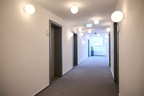 Innenkorridor mit grauem Teppich, weißen Wänden, mehreren Türen mit dunklen Zargen, runden Leuchten und Fenster mit Pflanze.