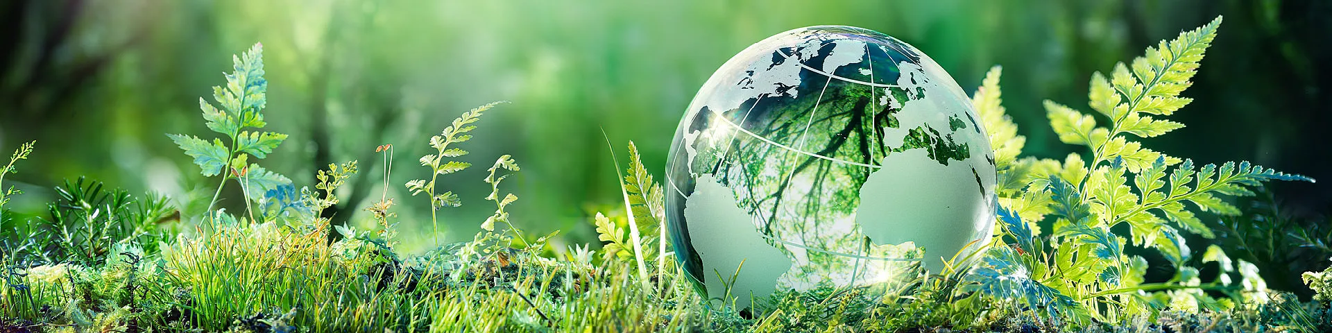 Transparente Glaskugel mit eingezeichneten Kontinenten und Reflexionen von Bäumen, liegend auf moosigem Boden zwischen Gras und Farnen vor unscharfem grünem Hintergrund