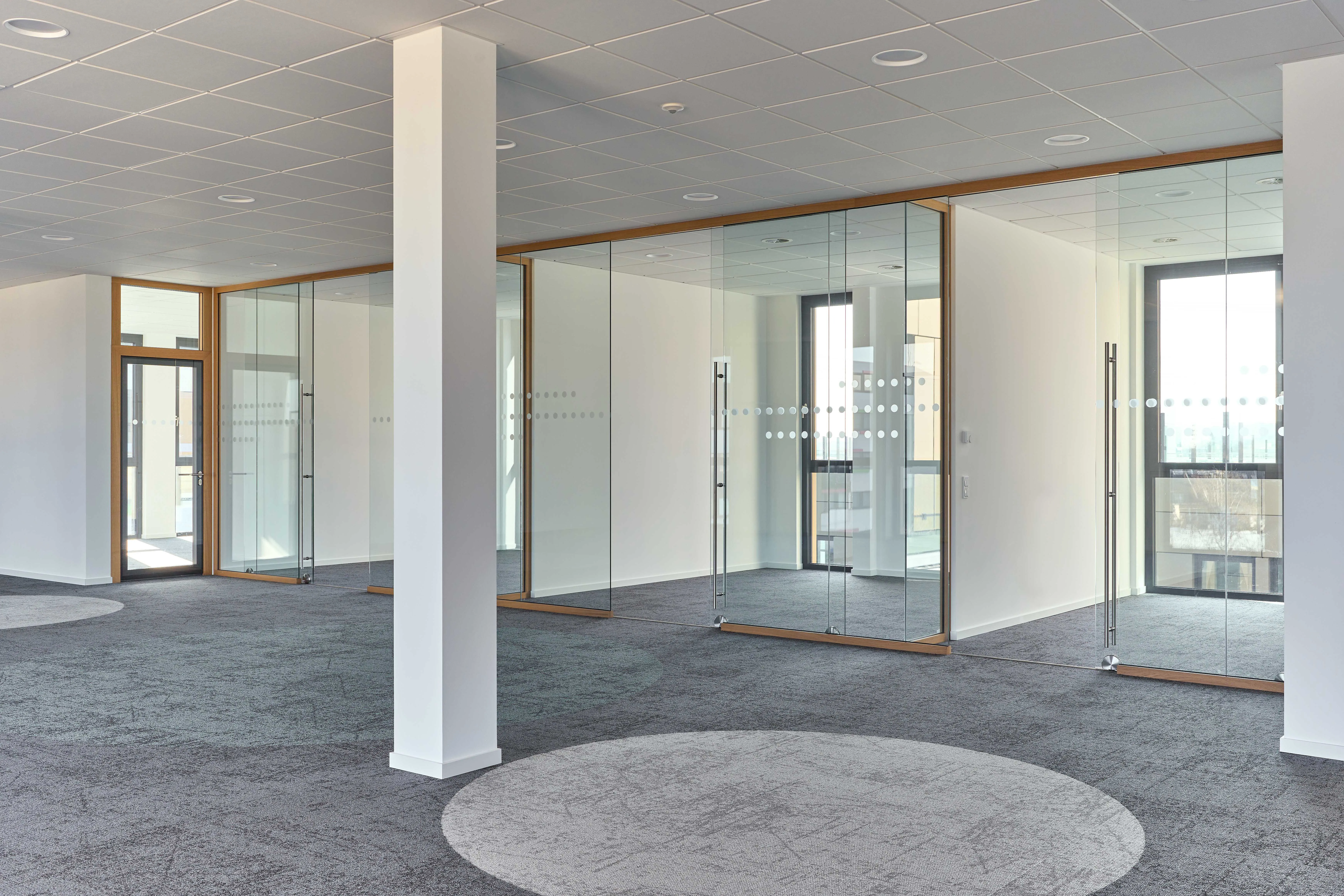Espace de bureau vide et lumineux, avec de la moquette grise, des cloisons vitrées allant du sol au plafond dotées de cadres en bois et de poignées en acier inoxydable, des repères visuels en points et un pilier blanc au premier plan